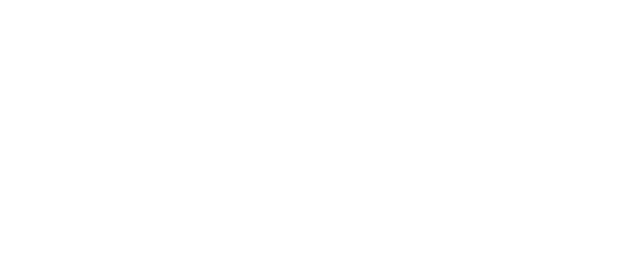 Nomad Sculpt logo